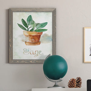 Potted Sage - Premium Canvas Framed in Barnwood - Ready to Hang