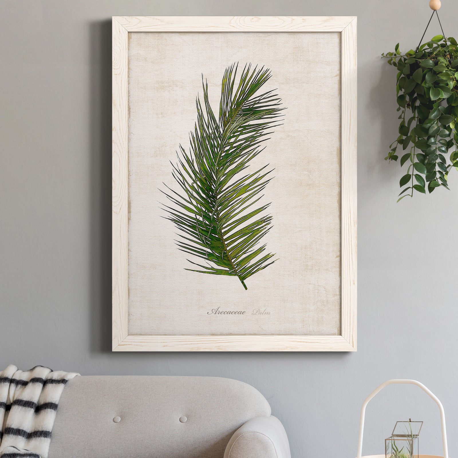 Palm Botanical II - Barnwood Framed Canvas Print