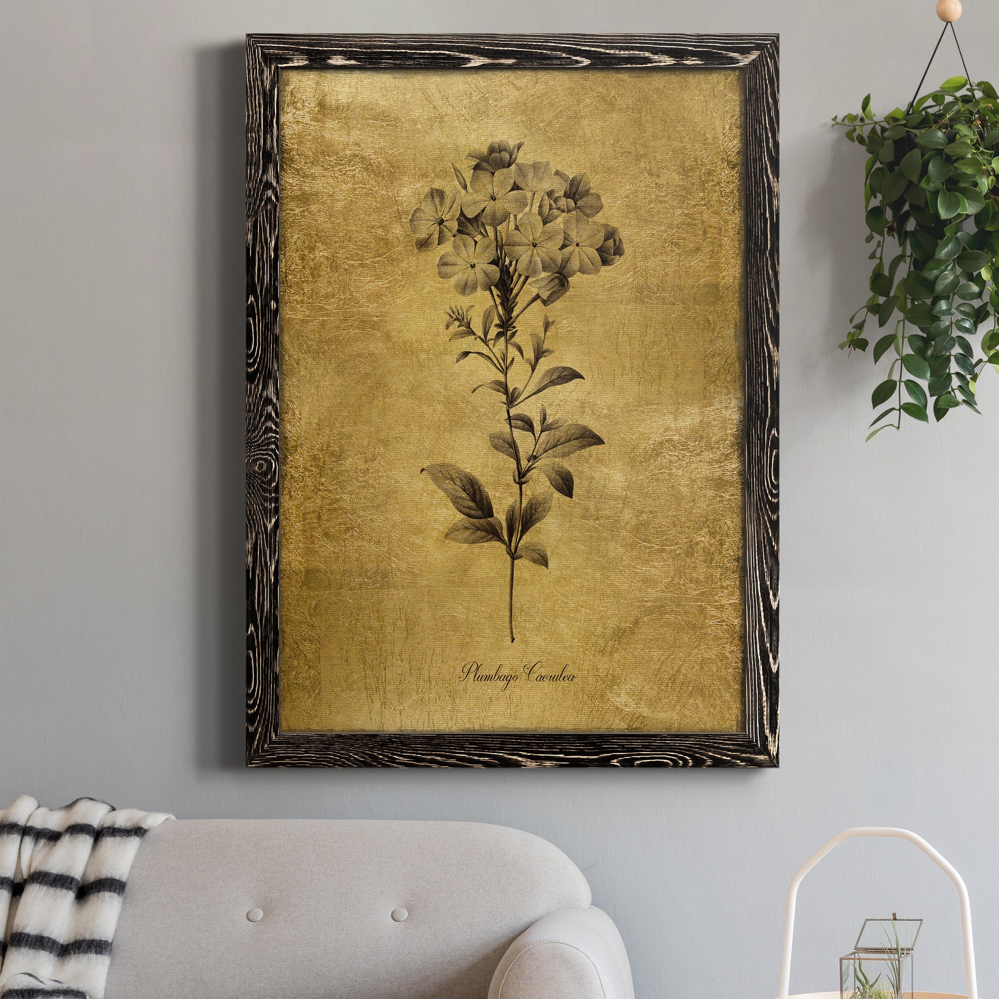 Gold Sketch Botanical II - Premium Canvas Framed in Barnwood - Ready to Hang