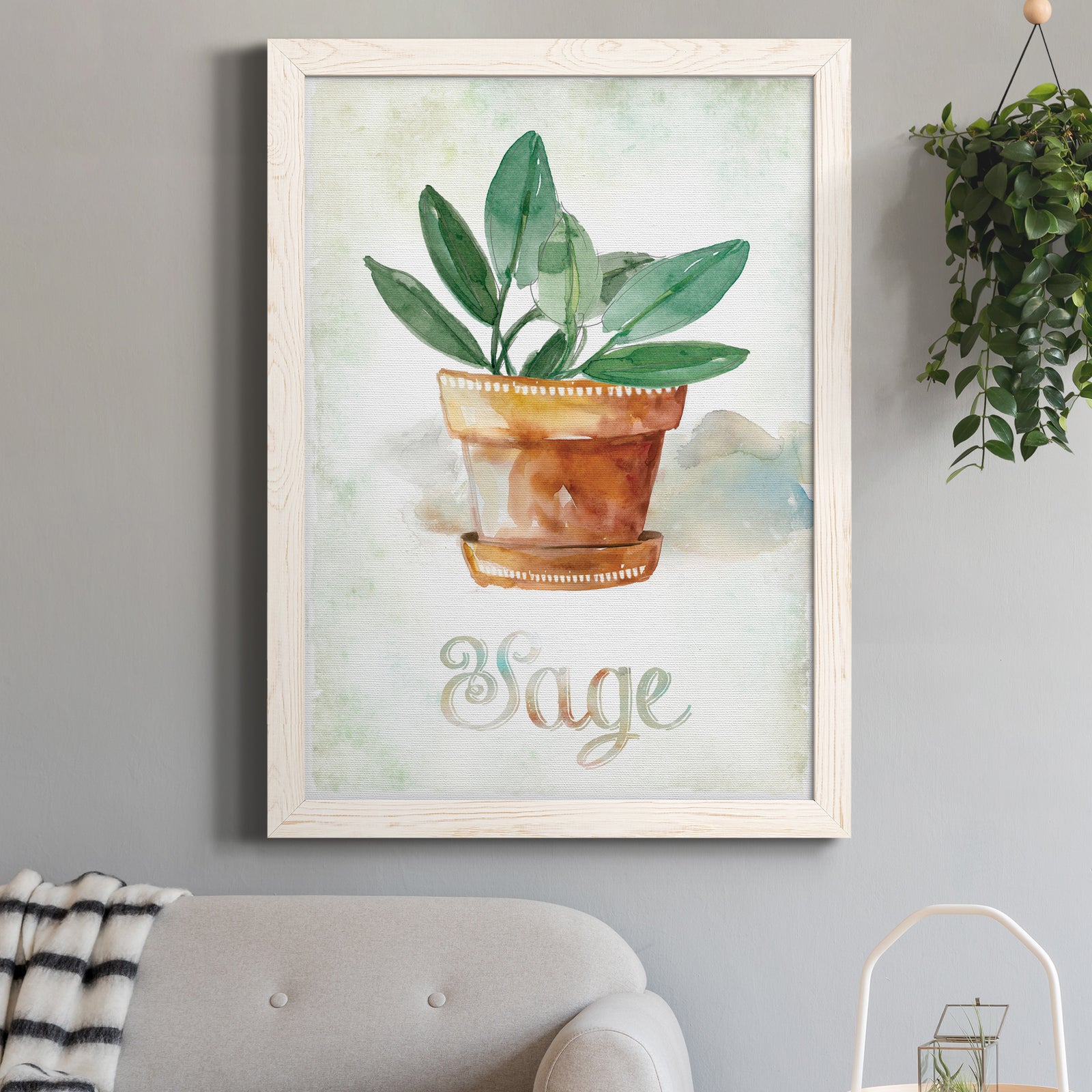 Potted Sage - Barnwood Framed Canvas Print