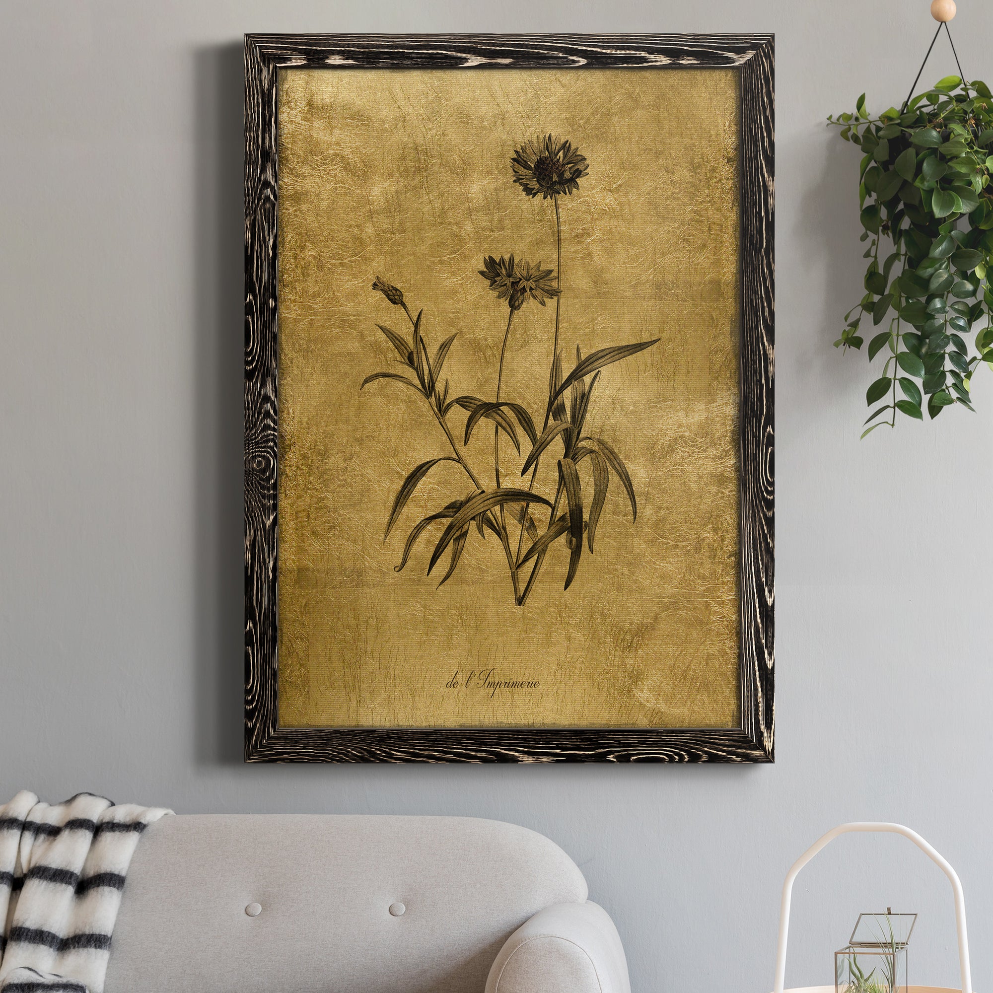 Gold Sketch Botanical I - Premium Canvas Framed in Barnwood - Ready to Hang