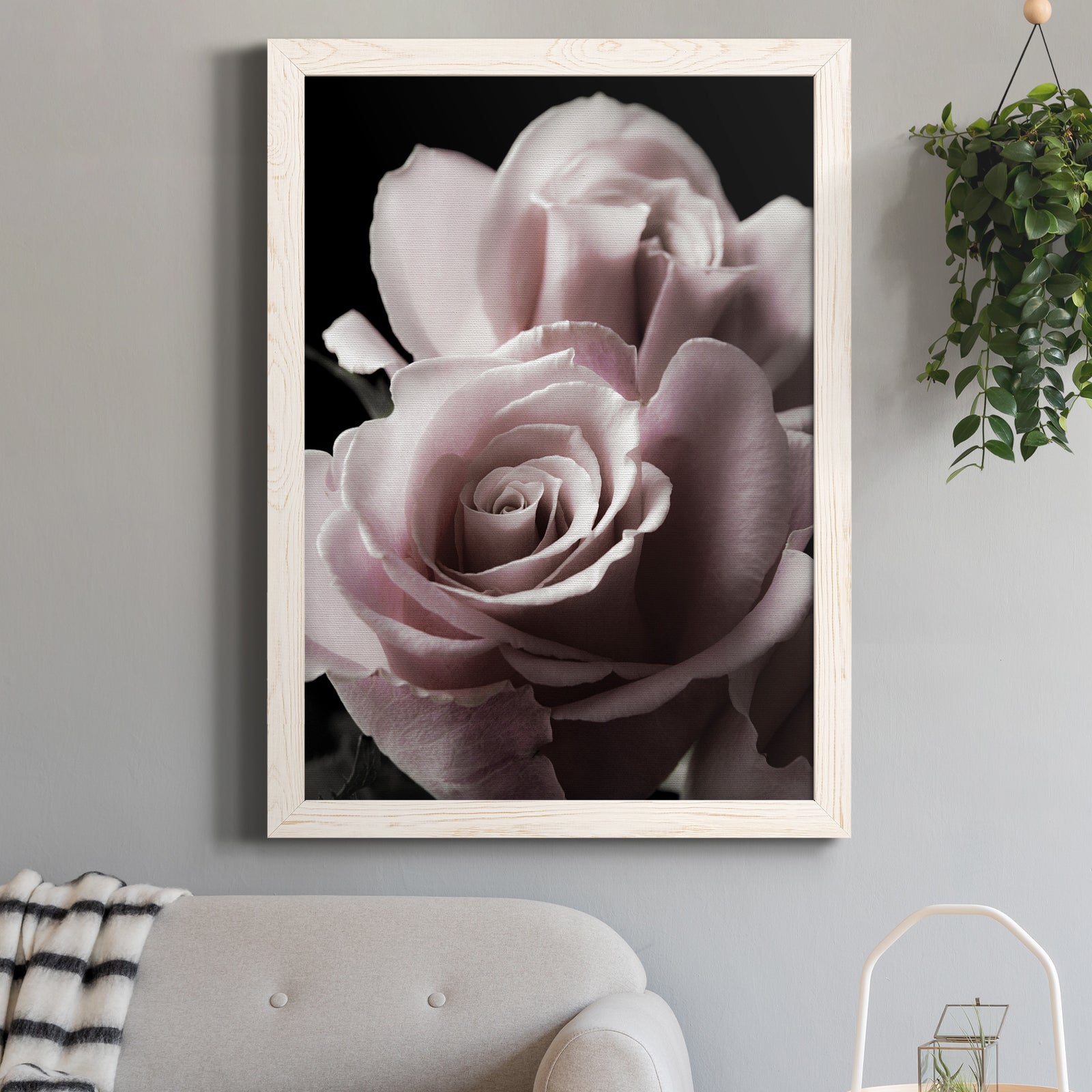 Rose Noir II - Barnwood Framed Canvas Print