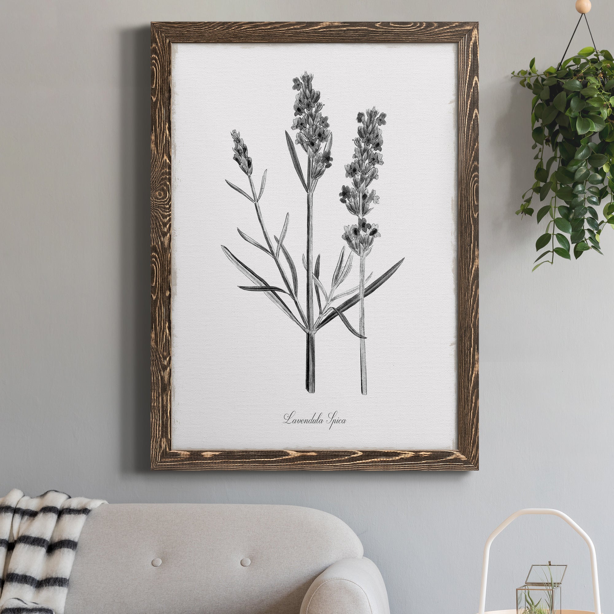 Simply Lavender - Premium Canvas Framed in Barnwood - Ready to Hang