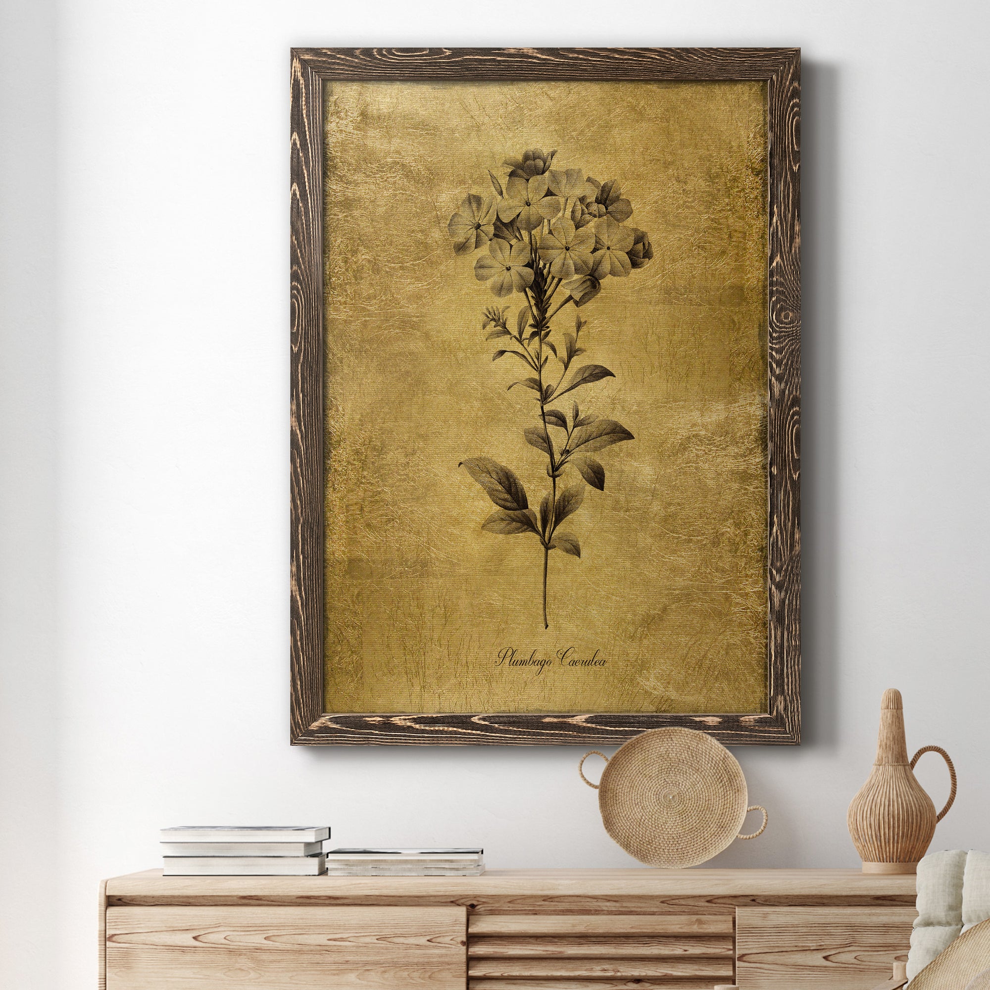 Gold Sketch Botanical II - Premium Canvas Framed in Barnwood - Ready to Hang