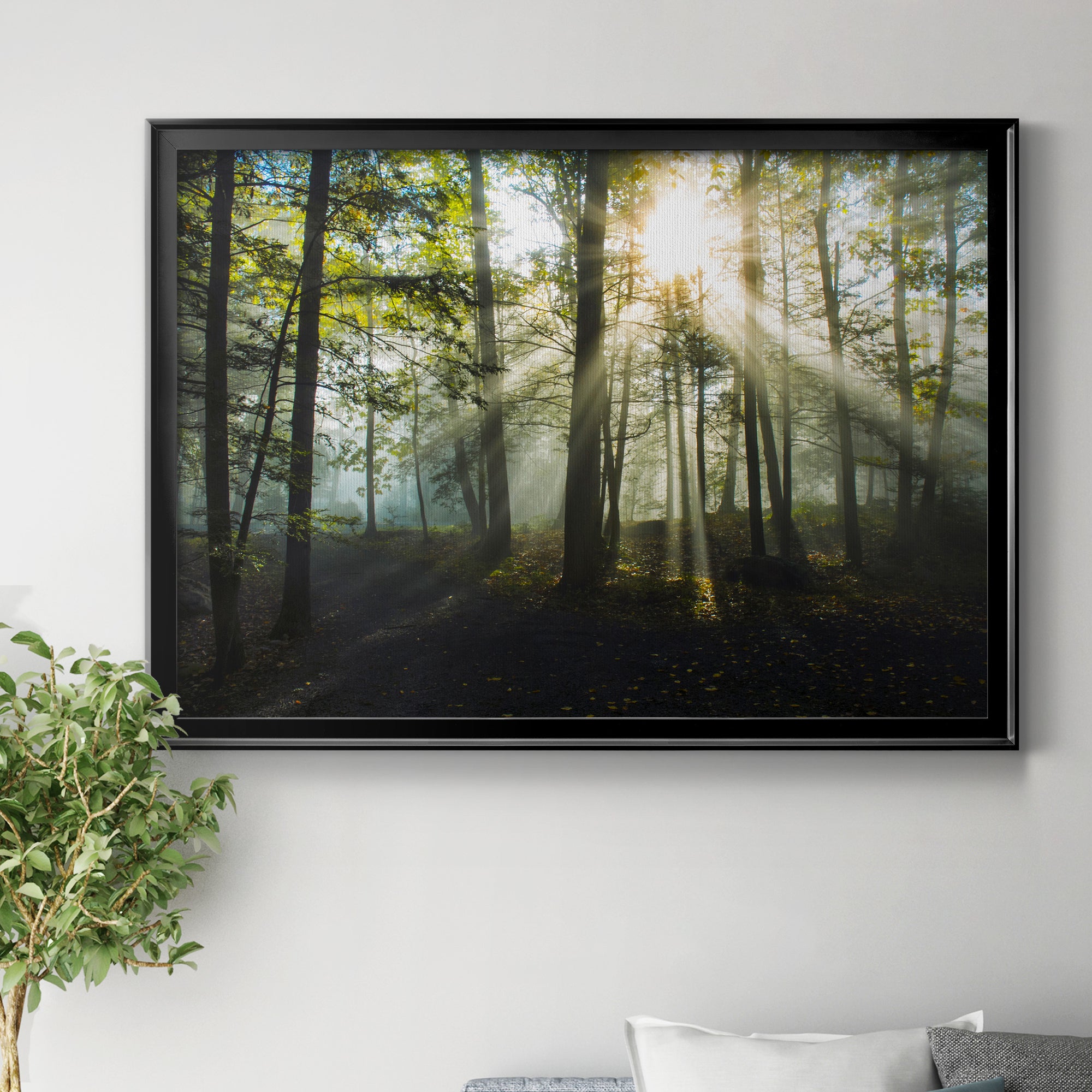 Light and Trees Premium Classic Framed Canvas - Ready to Hang