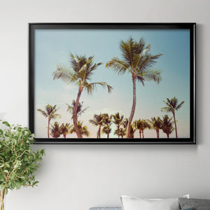 Aruba Palm Premium Classic Framed Canvas - Ready to Hang