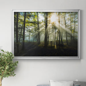 Light and Trees Premium Classic Framed Canvas - Ready to Hang