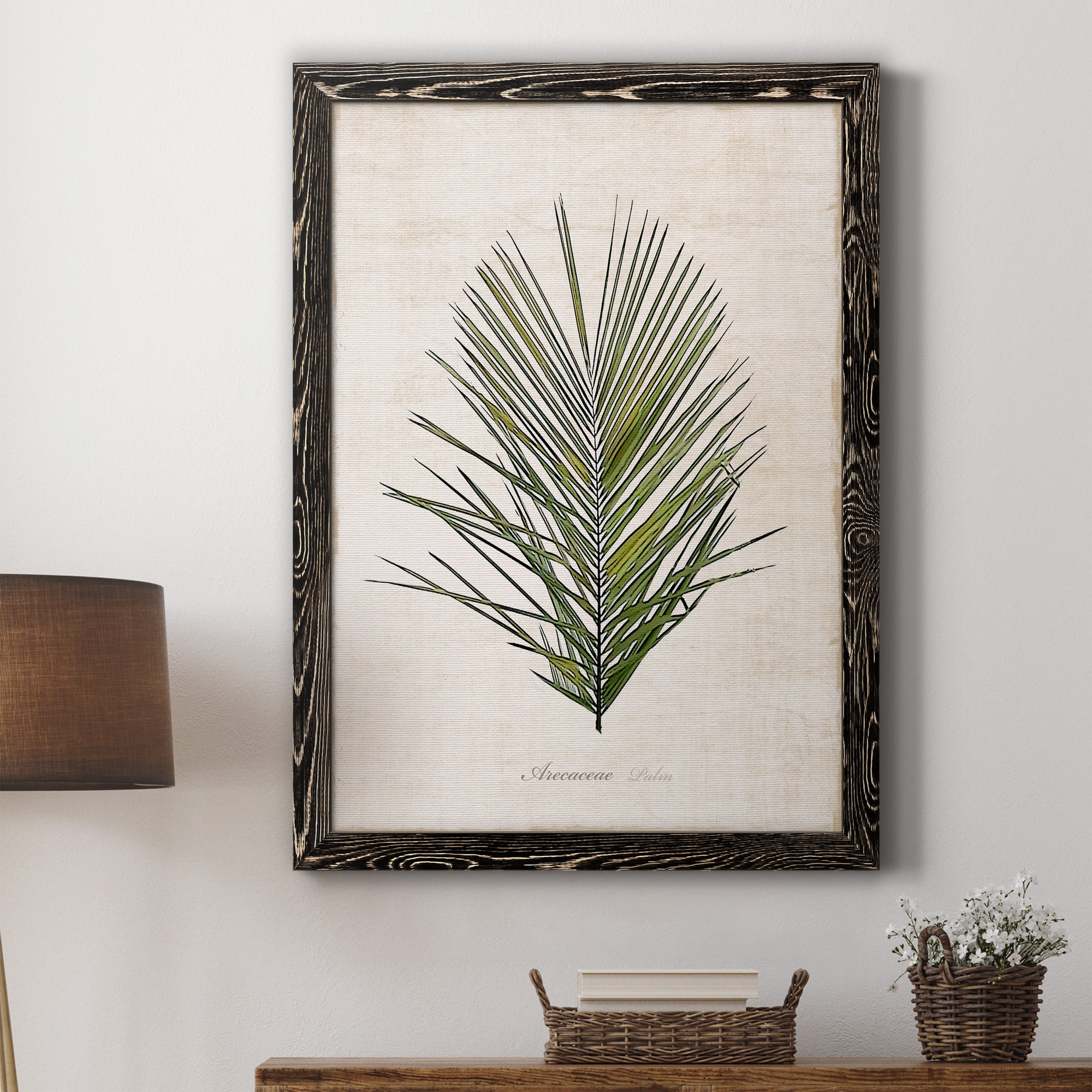Palm Botanical I - Premium Canvas Framed in Barnwood - Ready to Hang