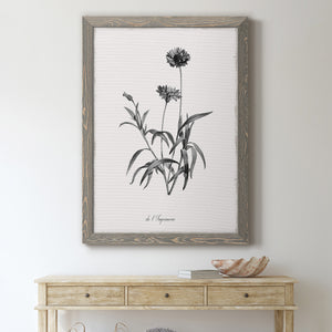 Simply Imperial - Premium Canvas Framed in Barnwood - Ready to Hang