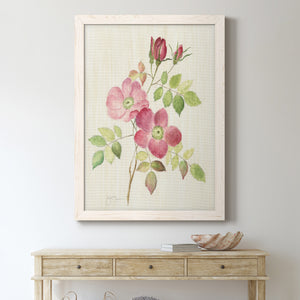 Dusty Rose I - Premium Canvas Framed in Barnwood - Ready to Hang