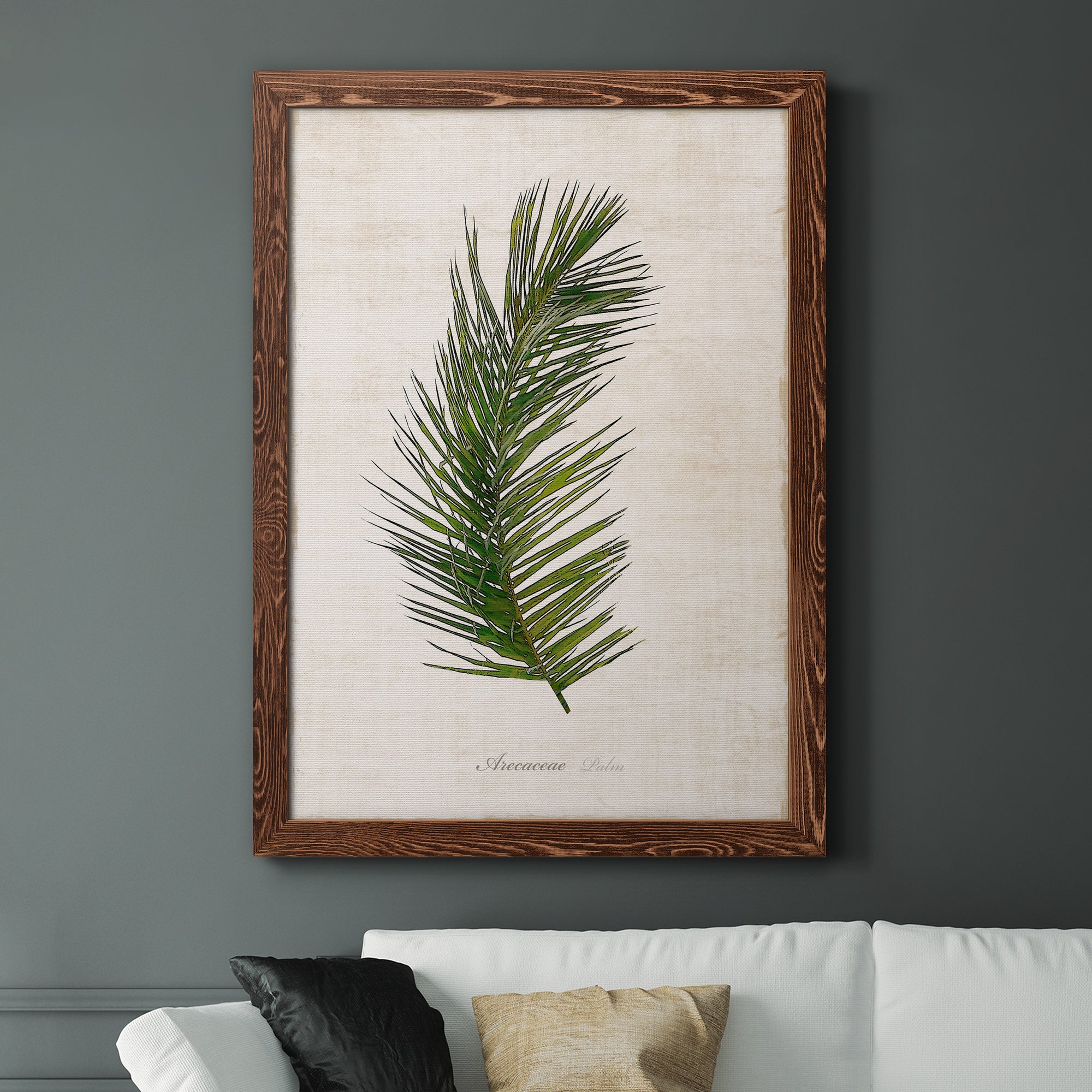 Palm Botanical II - Premium Canvas Framed in Barnwood - Ready to Hang