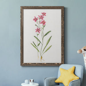 Delicate Pink II - Premium Canvas Framed in Barnwood - Ready to Hang