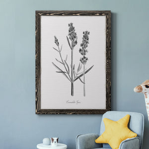 Simply Lavender - Premium Canvas Framed in Barnwood - Ready to Hang