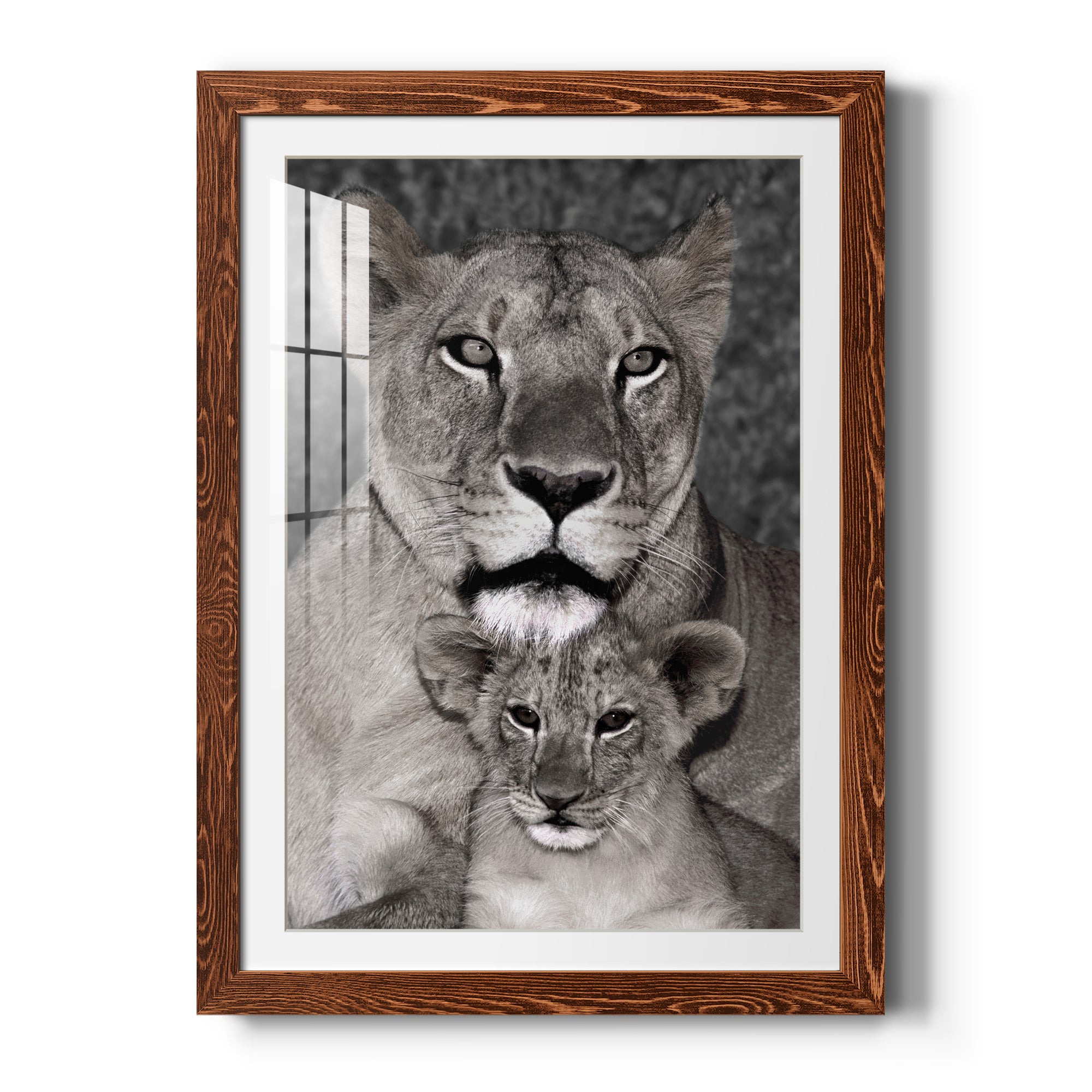 Lioness and Cub - Barnwood Framed Art Print