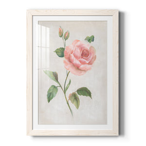 Grandiflora I - Barnwood Framed Art Print