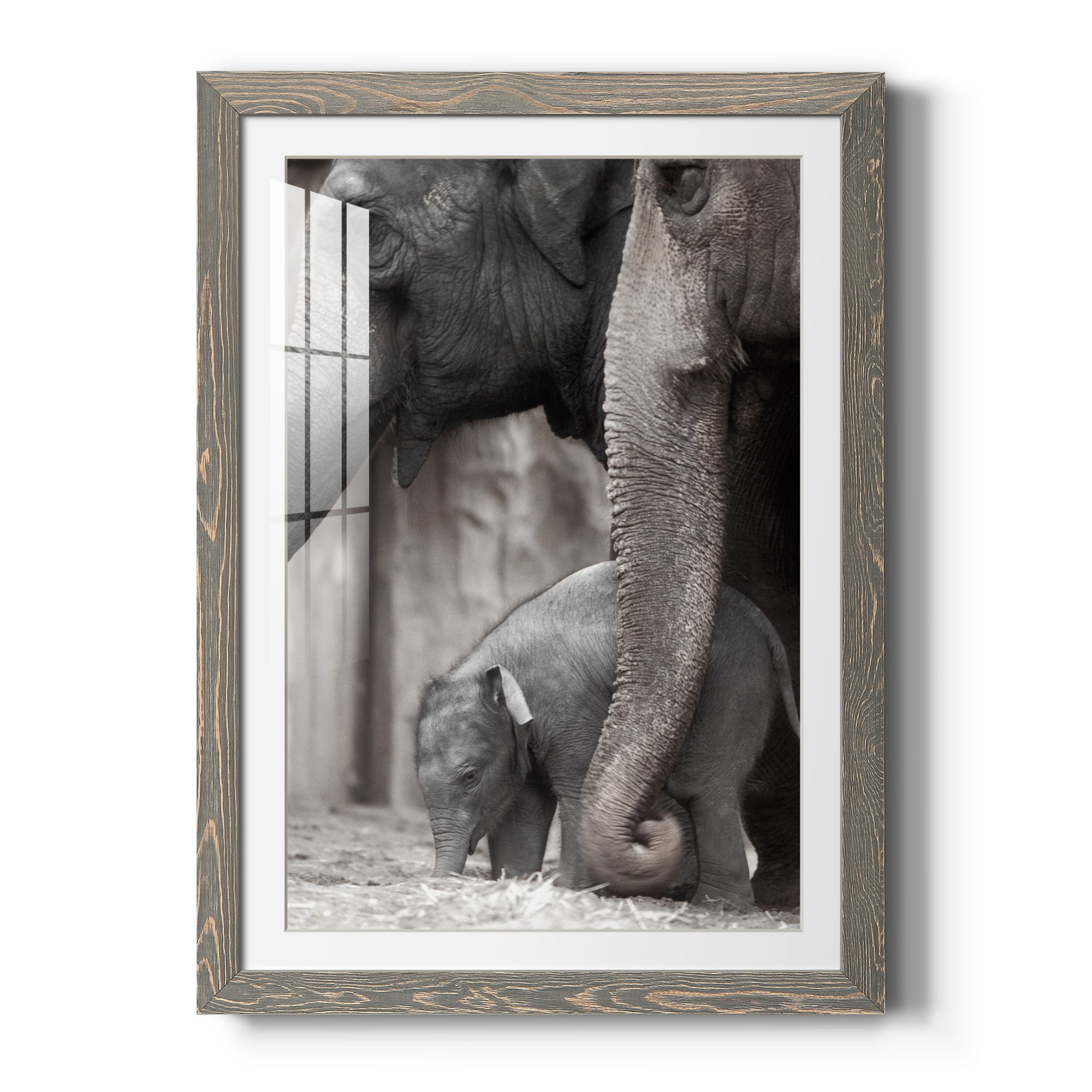 Family Moment - Barnwood Framed Art Print