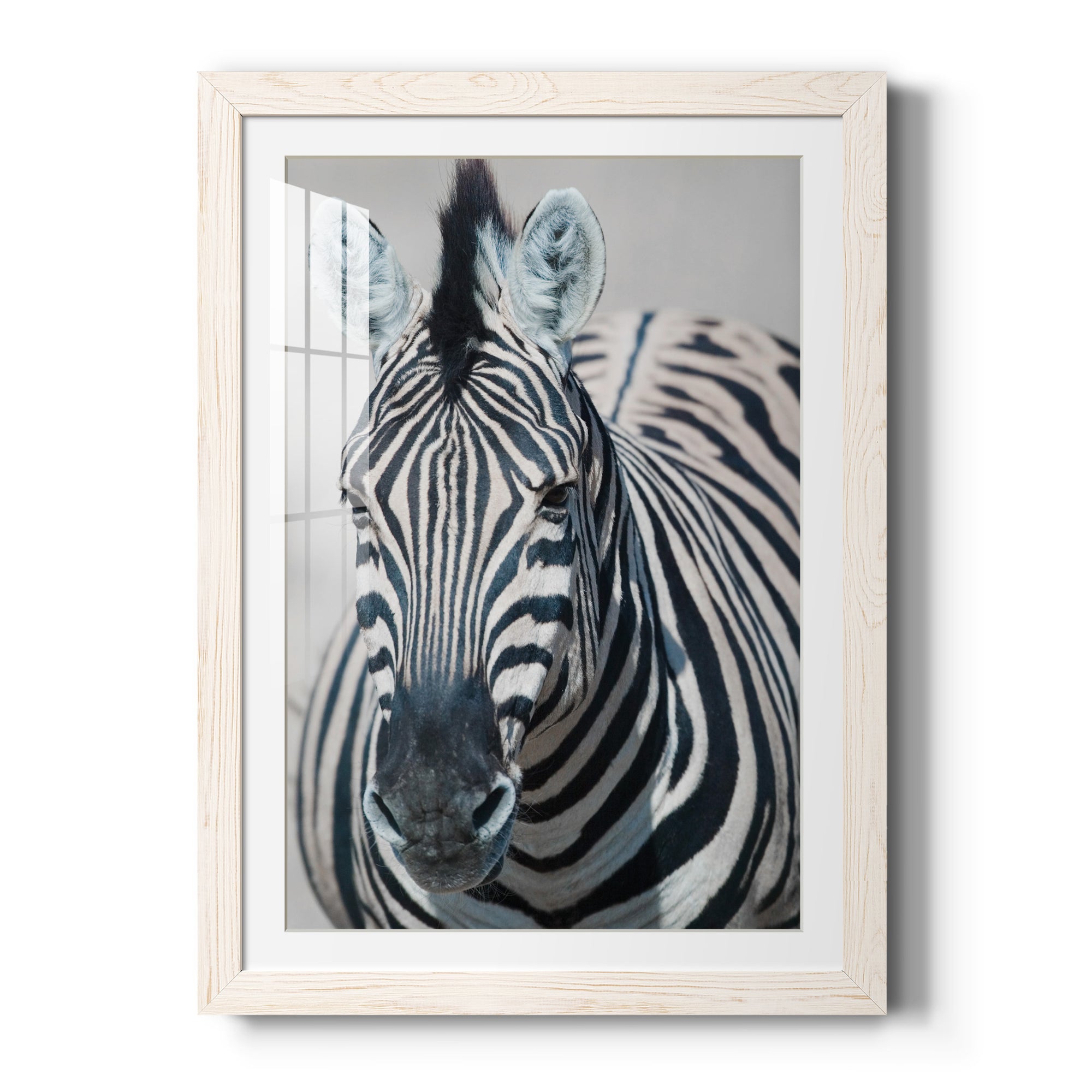 Namibia Zebra - Premium Framed Print - Distressed Barnwood Frame - Ready to Hang