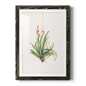 Gardenaire I - Barnwood Framed Art Print