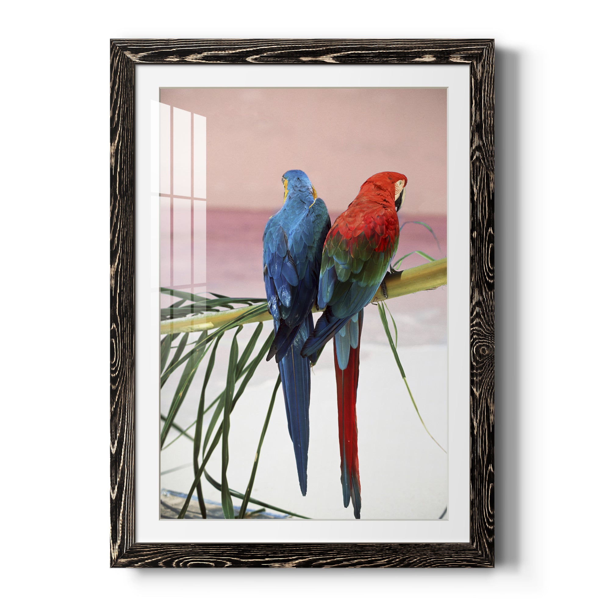Palm Parrots - Barnwood
