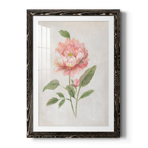 Grandiflora III - Barnwood Framed Art Print