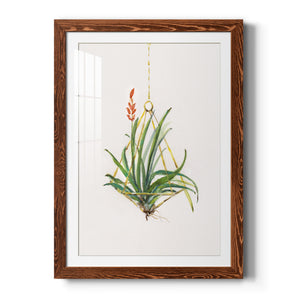 Gardenaire I - Barnwood Framed Art Print