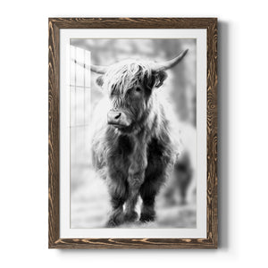 Yorkshire Highland - Premium Framed Print - Distressed Barnwood Frame - Ready to Hang