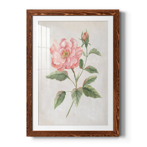 Grandiflora II - Barnwood Framed Art Print