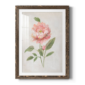 Grandiflora III - Barnwood Framed Art Print