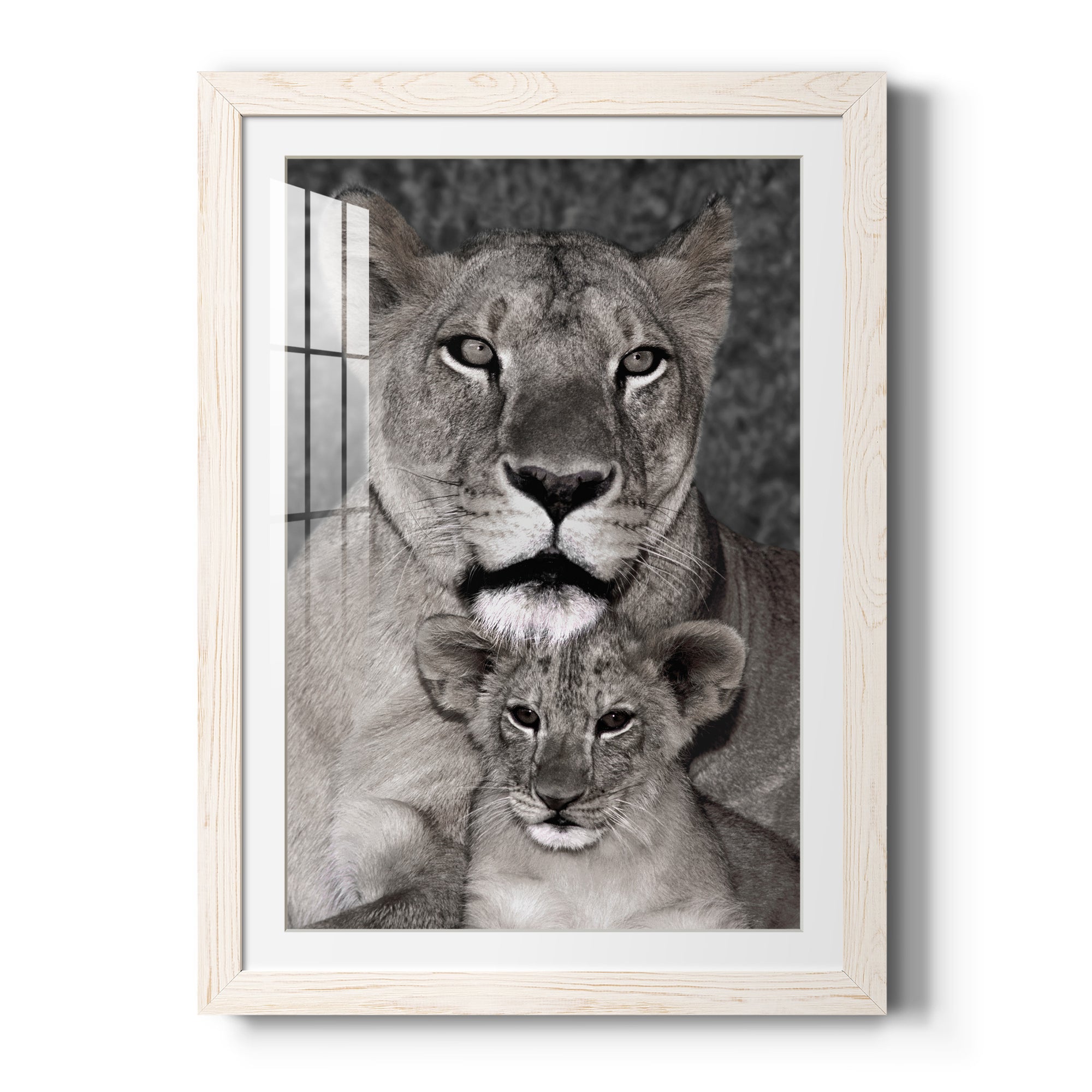 Lioness and Cub - Barnwood Framed Art Print