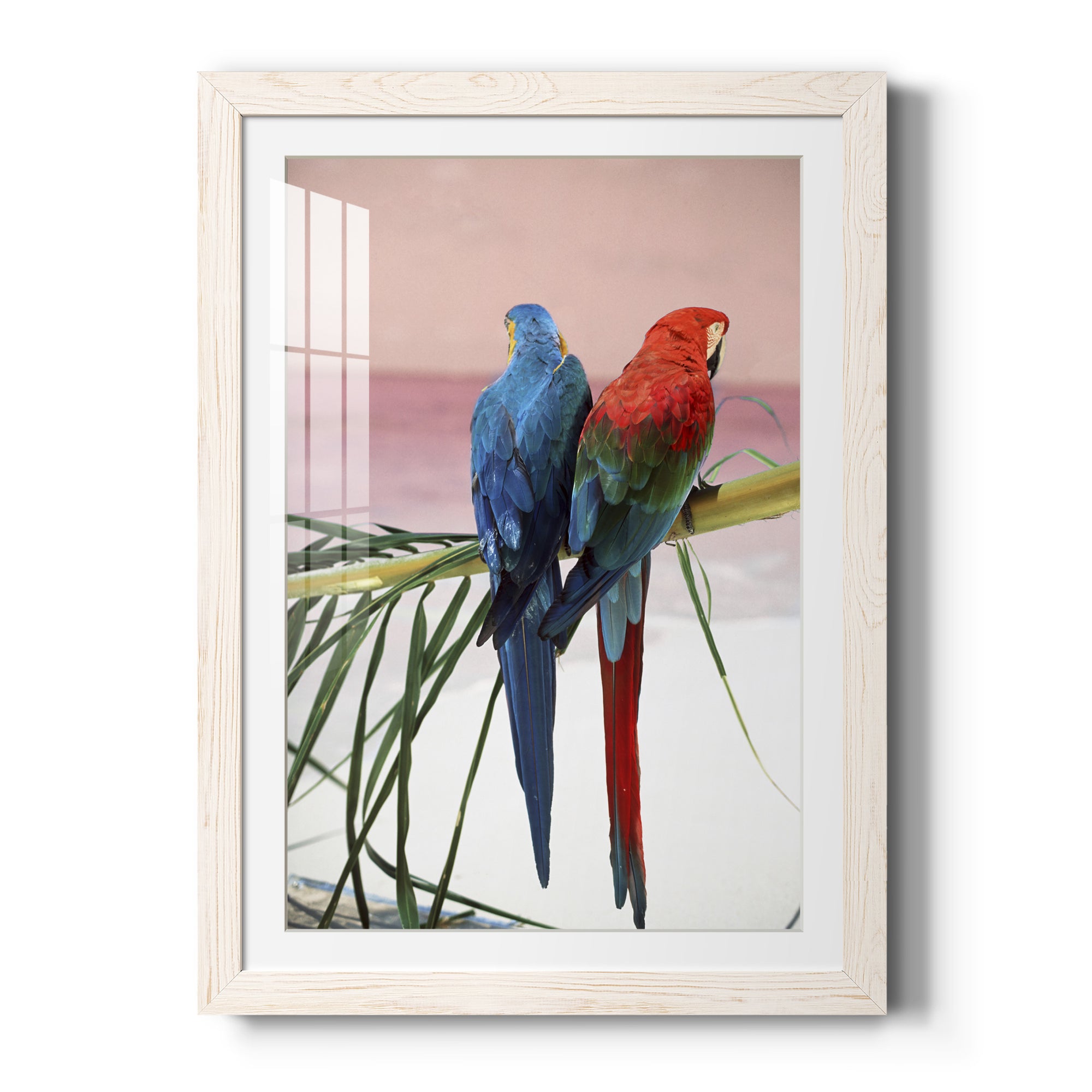 Palm Parrots - Barnwood