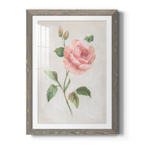 Grandiflora I - Barnwood Framed Art Print