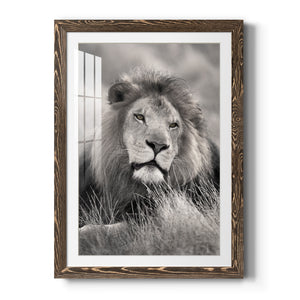 Pride of the Pride - Barnwood Framed Art Print