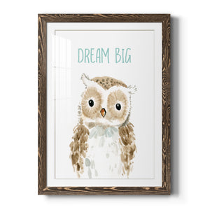 Dream Big Owl - Barnwood