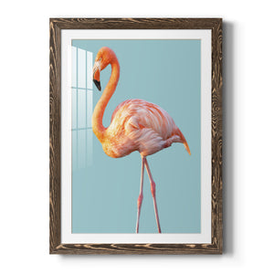 Flamingo - Barnwood