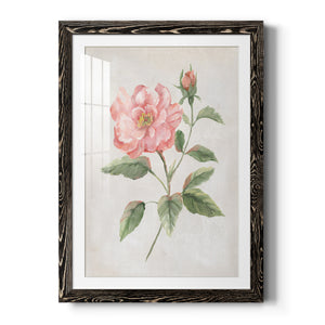 Grandiflora II - Barnwood Framed Art Print