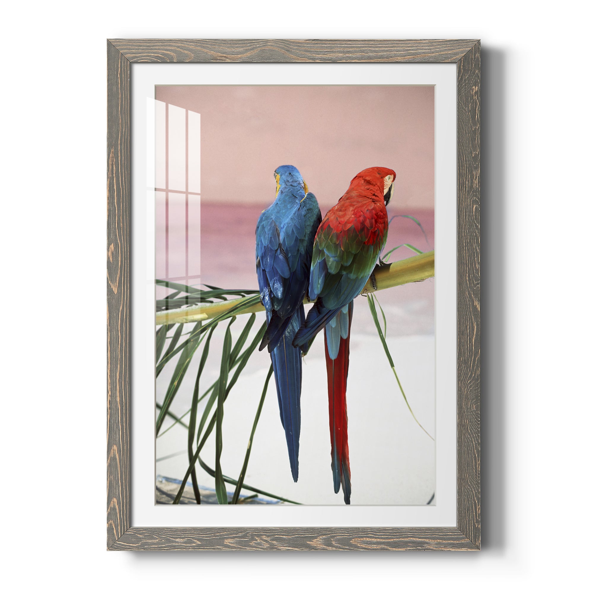 Palm Parrots - Barnwood
