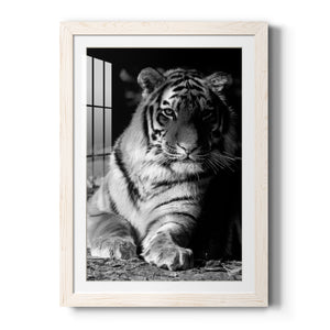 Tiger Repose - Barnwood Framed Art Print