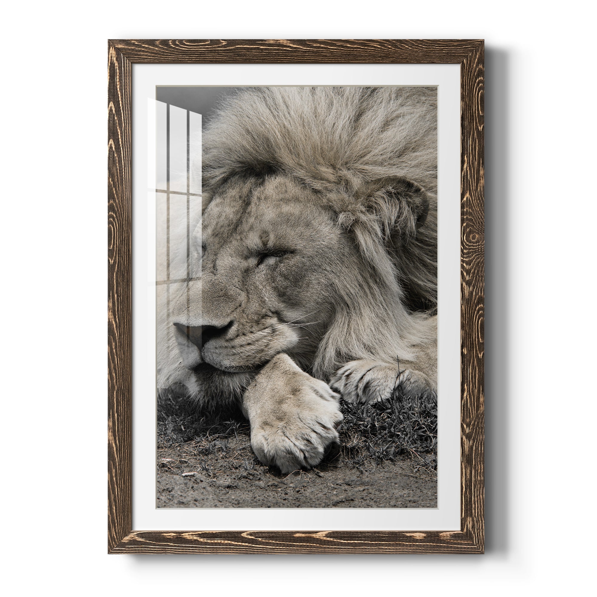 Sleepy Afternoon in Masai Mara - Barnwood Framed Art Print