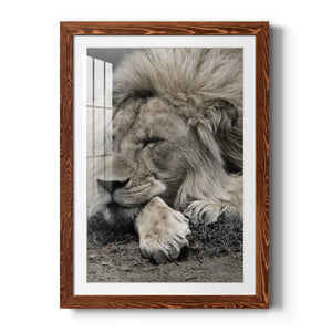 Sleepy Afternoon in Masai Mara - Barnwood Framed Art Print