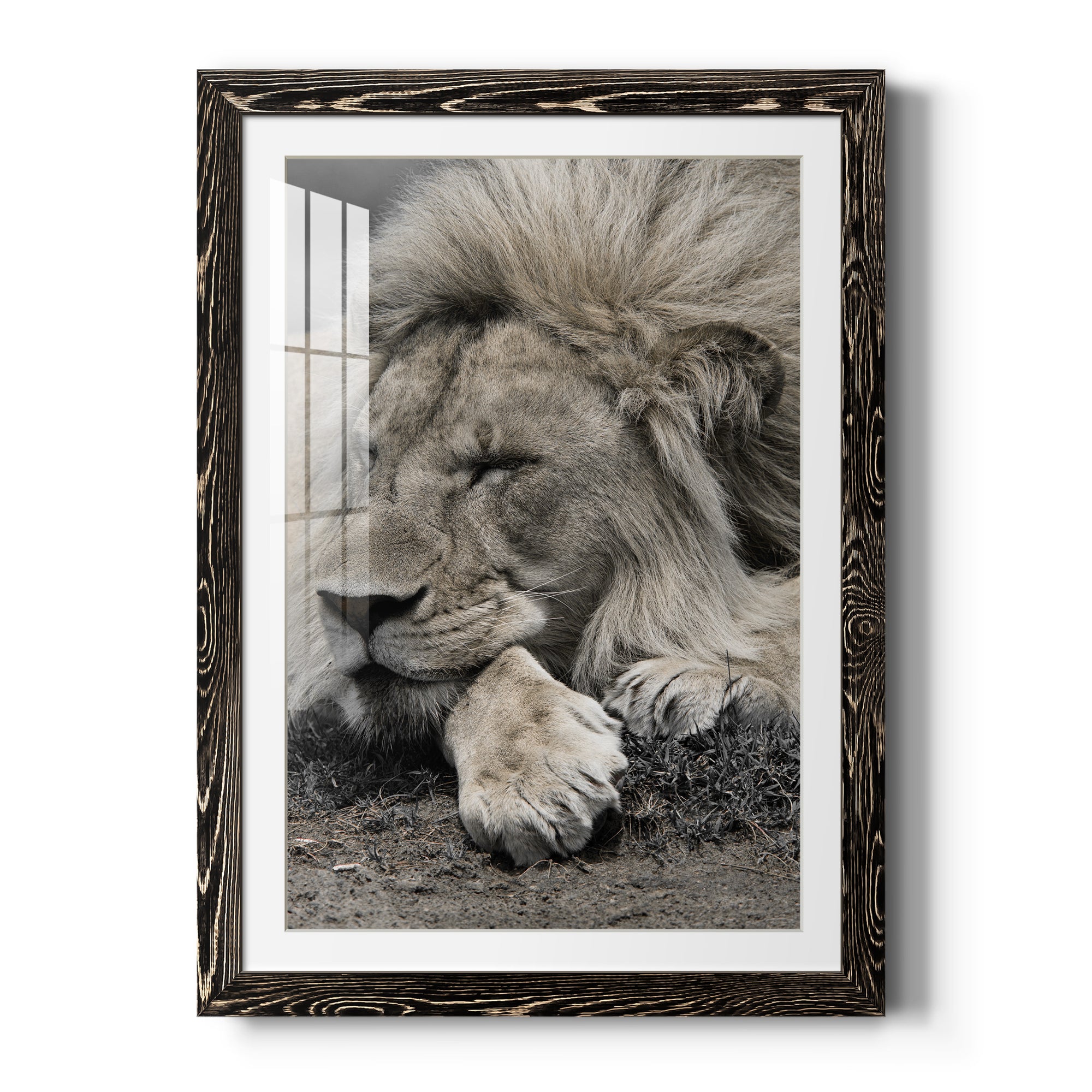 Sleepy Afternoon in Masai Mara - Barnwood Framed Art Print
