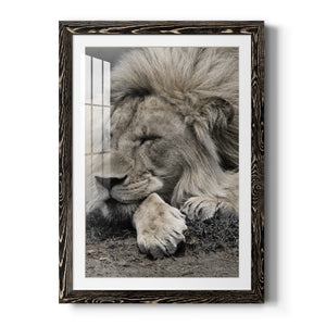Sleepy Afternoon in Masai Mara - Barnwood Framed Art Print