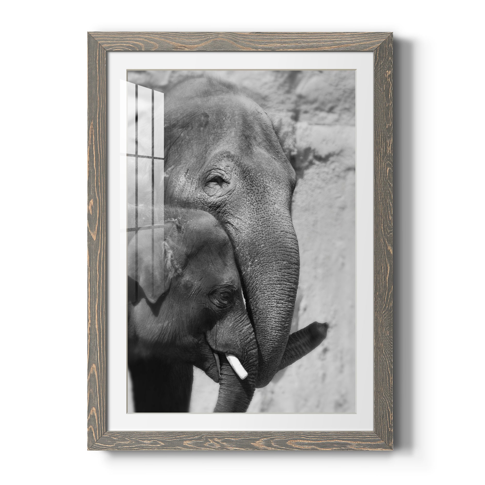 Tender Moment - Barnwood Framed Art Print