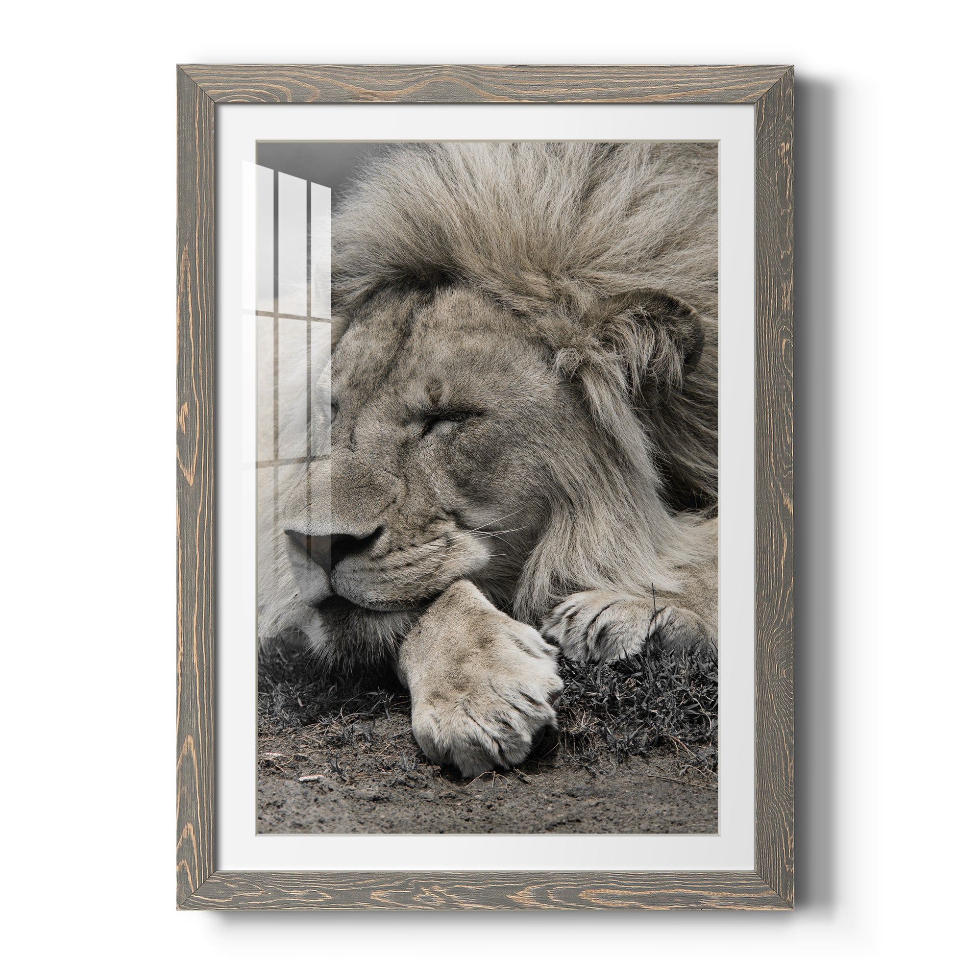 Sleepy Afternoon in Masai Mara - Barnwood Framed Art Print