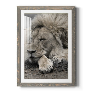 Sleepy Afternoon in Masai Mara - Barnwood Framed Art Print