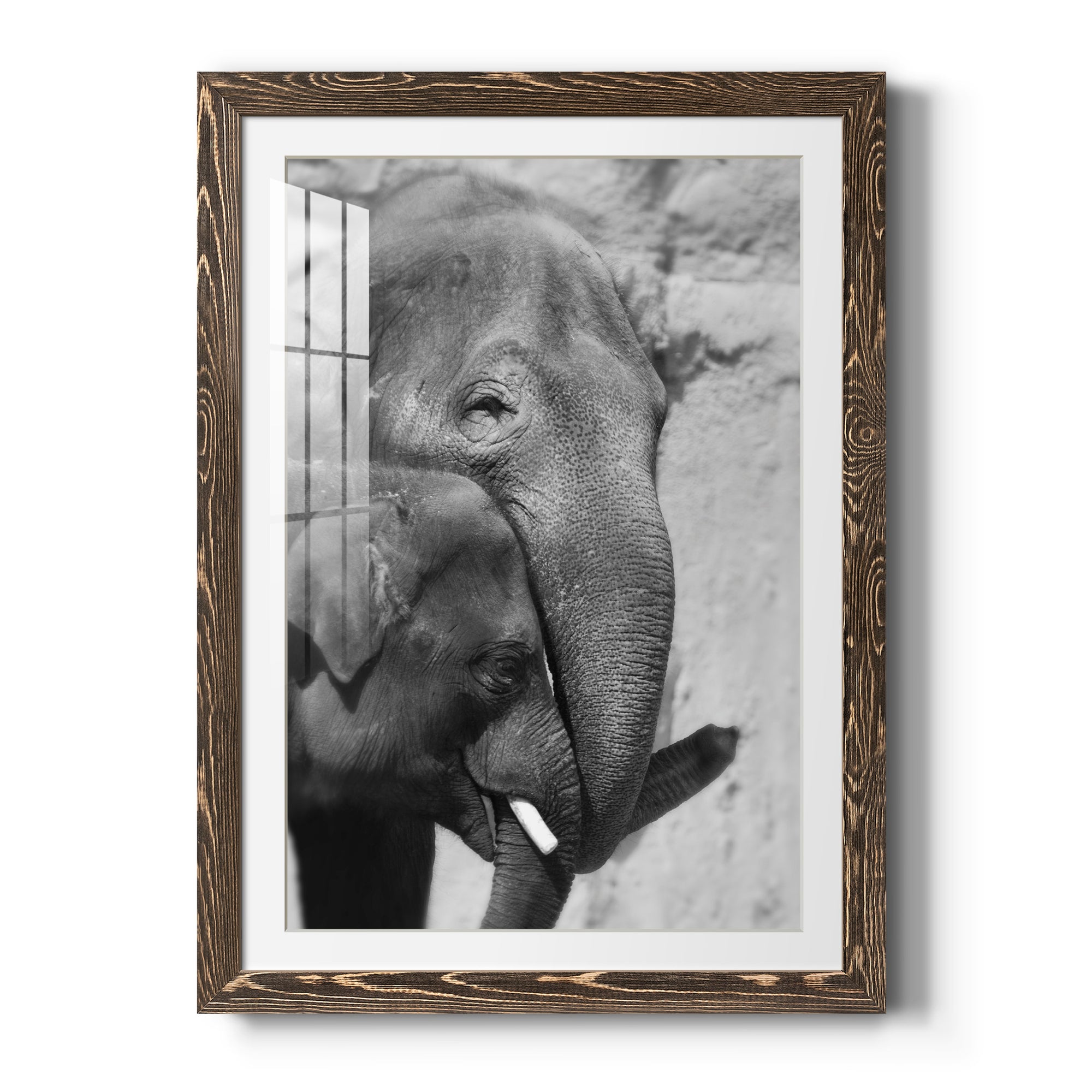 Tender Moment - Barnwood Framed Art Print