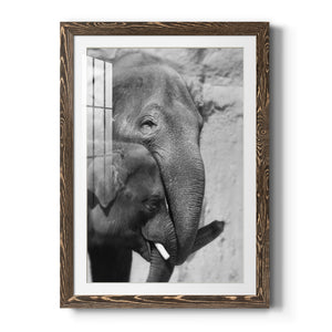 Tender Moment - Barnwood Framed Art Print