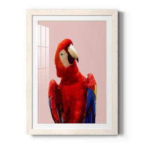 Honduras Wildlife - Barnwood