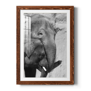 Tender Moment - Barnwood Framed Art Print