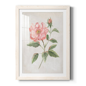 Grandiflora II - Barnwood Framed Art Print