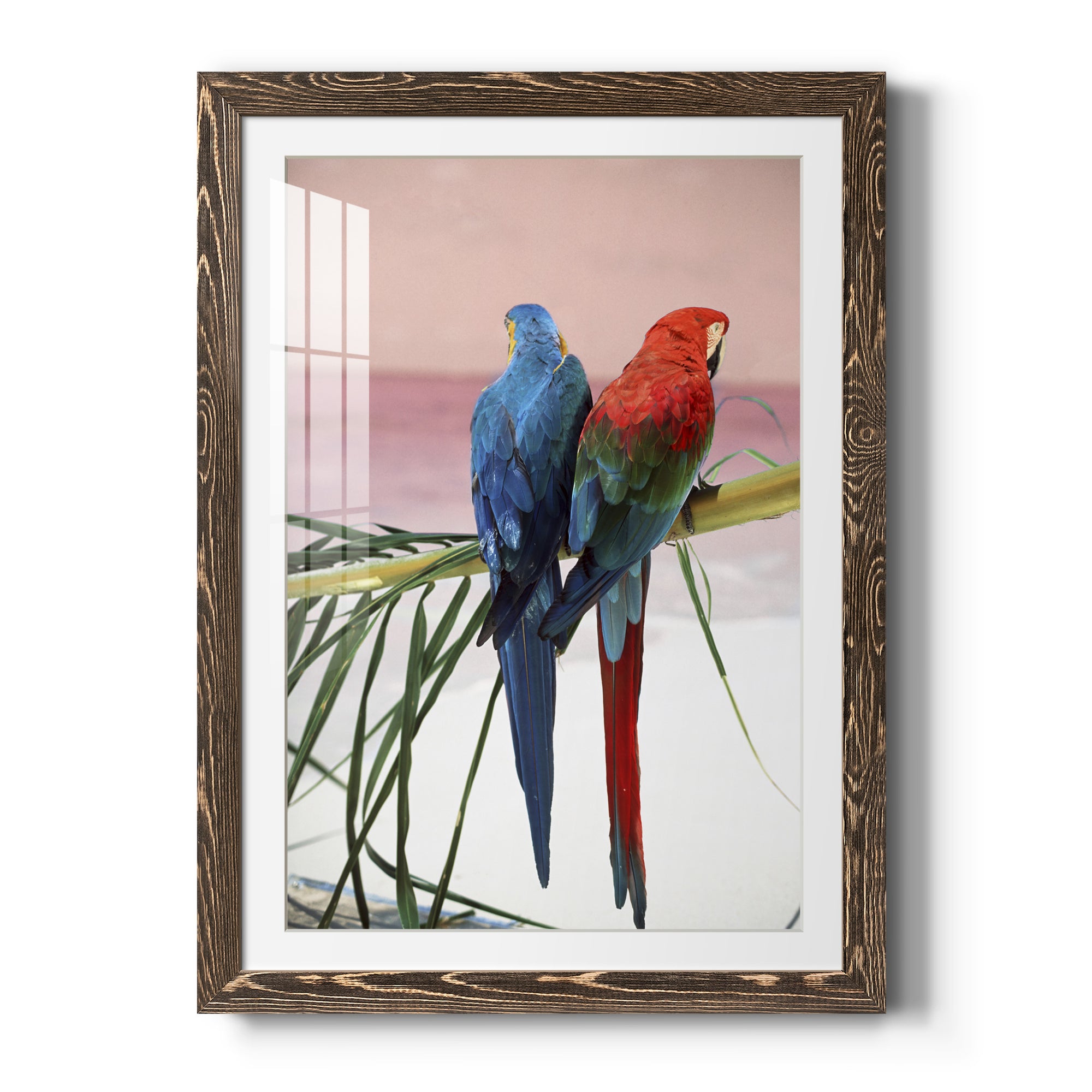 Palm Parrots - Barnwood